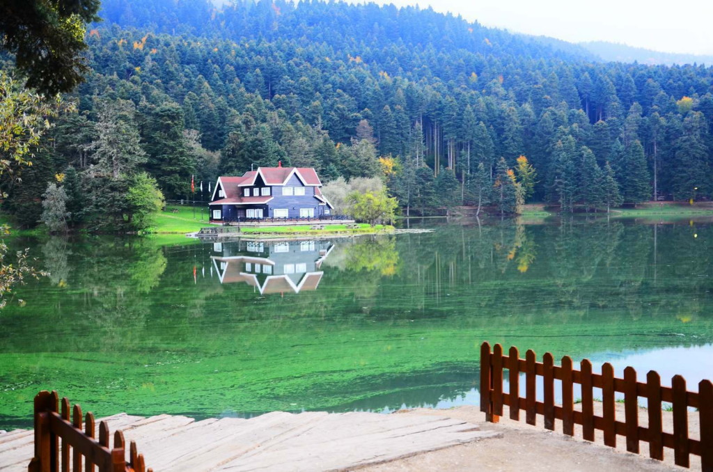 Tabiat Parkı