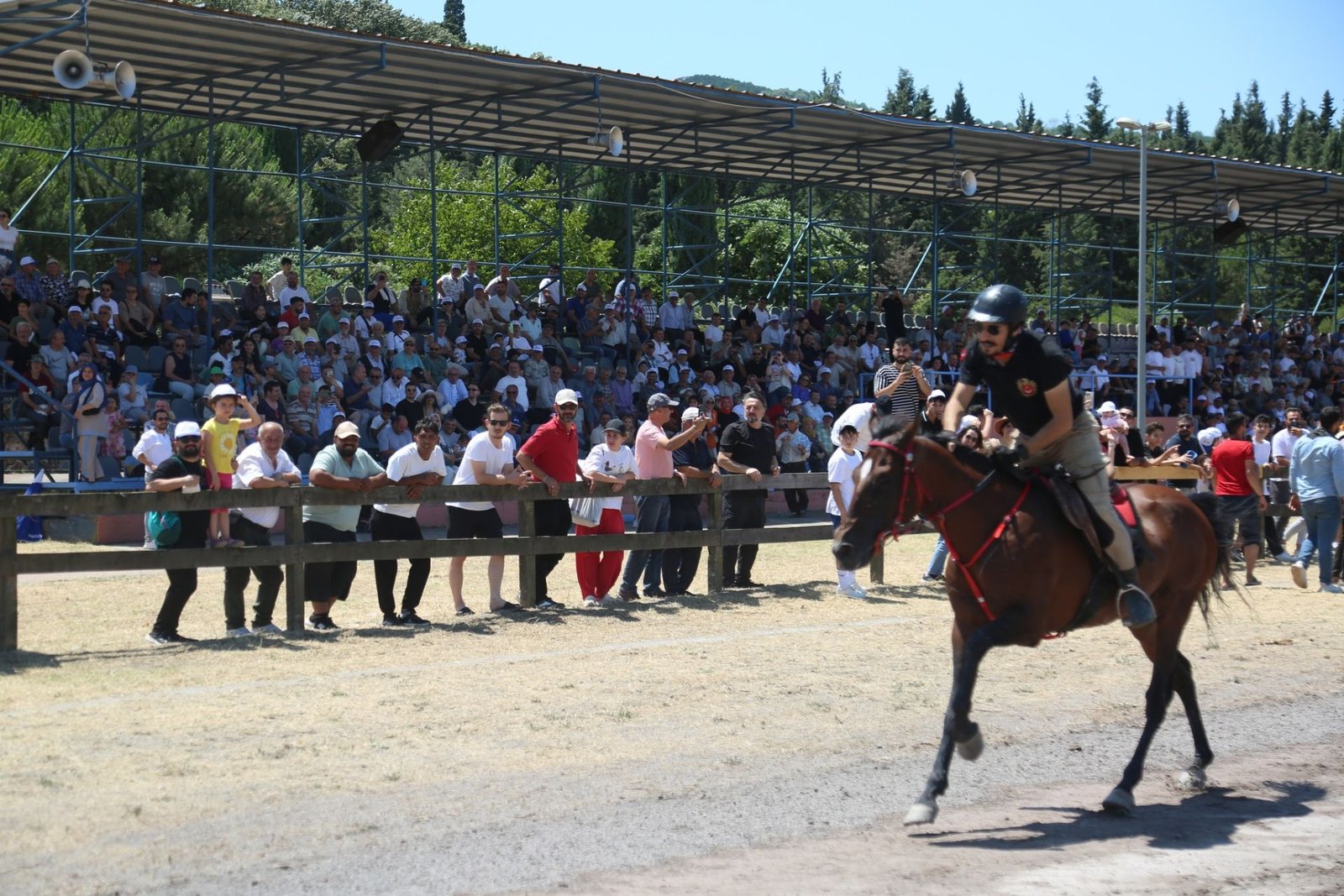 Tabiat Parkı