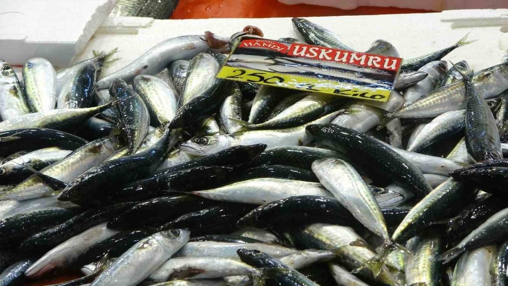 Balıkçılardan Sevindiren Haber: Fiyatlar Düştü, Ekim Bereketi Yolda