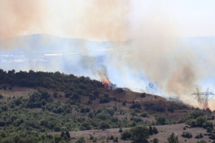 Gebze'deki orman yangınına havadan ve karadan müdahale